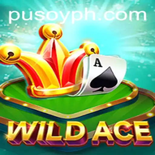 Exploring WildAce: The Thrilling Card Game You Need to Know